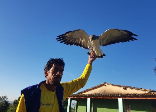 Parque dos Falcões